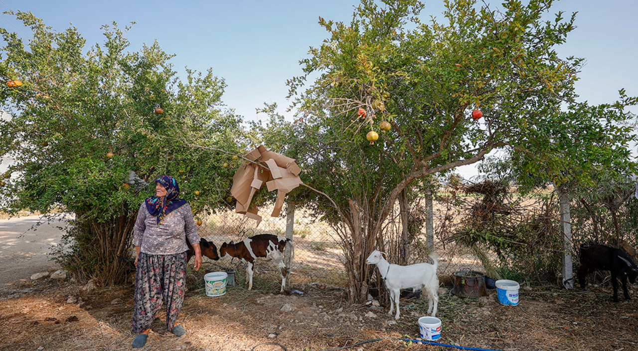 Manavgat'taki yangında tedavi parası küle dönmüştü! Yüzü tekrardan güldü